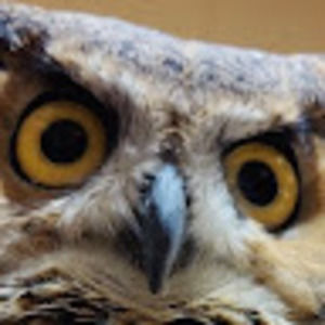 Meet your Posher, Mad max